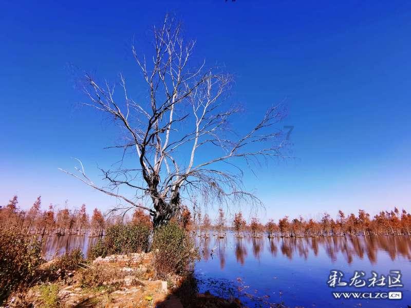 了解知识星球平台,提升你怎样看待女性一定要结婚才能获得幸福的话题的?知识技能